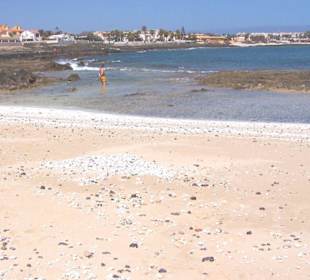 Privatstrand vom SuiteHotel Atlantis Resort