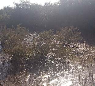 Fahrradausflug in die Wüste