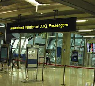 International Transfer 