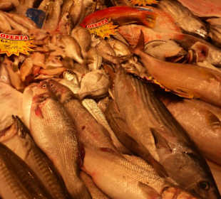 Mercado Central - Bummel durch die Markthalle