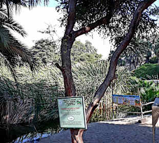 Sperrgebiet Wegezoll