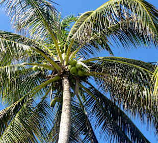 Spaziergang an der Plage de Bois Jolan