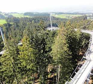 Blick auf Hängebrücken und Wald