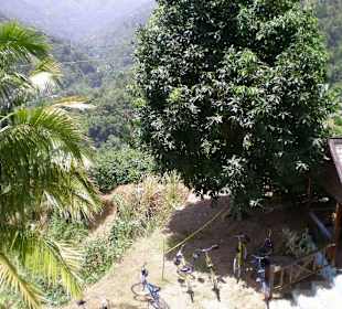 Blick in die Blue Mountains