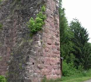 Burgruine Sterneck