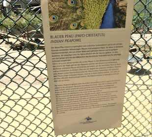 Voliére auf der Pfaueninsel