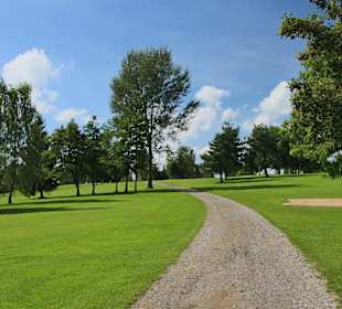 Hügeliges Gelände mit Bäumen