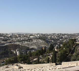 Widok z Góry Oliwnej