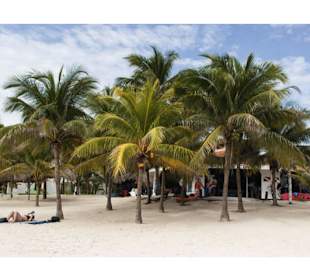Akumal