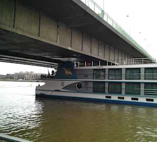Hochwasser Rhein in Hotelnähe