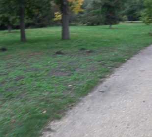 Schlosspark Charlottenburg