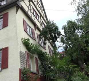 Amtshaus