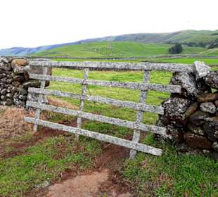 Inselrundfahrt Terceira