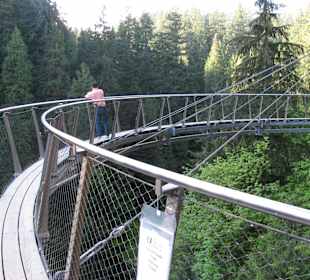 Capilano Suspension Bridge and Park