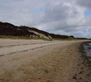Wandern Gemeinde Sylt [Sylt]