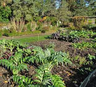 Rundgang durch den Botanischen Garten Hamburg