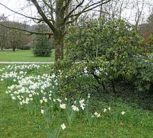 Bei einem Bummel durch den Kurgarten