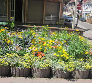 Niederbronn les Bains