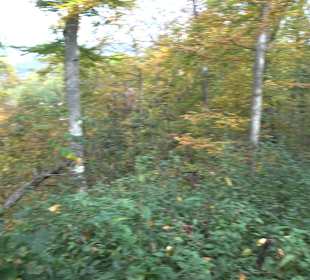 Wandertour "Rund um den Rossberg" Öschingen