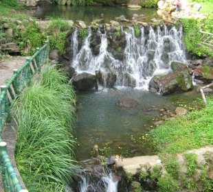 Anfang einer Wanderstrecke