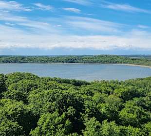 Blick vom Baumwipfelpfad 