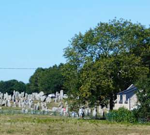 Hinkelstein-Feld Carnac