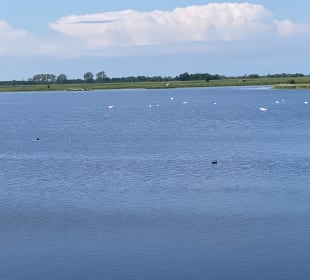 Wandern Fehmarn