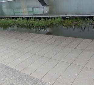 SEA LIFE Konstanz