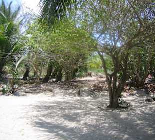 Isla Saona