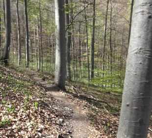 Wanderweg Hochgehkämpft