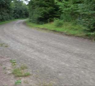 FriedWald Schönbuch