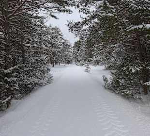 Wandern Mieming	