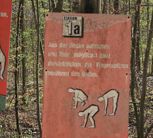 Waldsportpfad im Wasenwald