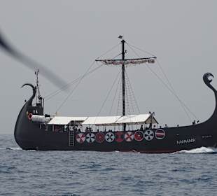 Whale Watching Costa Adeje