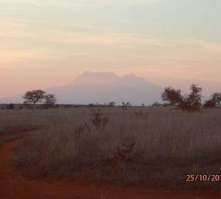 Der Kili bei Sonnenuntergang