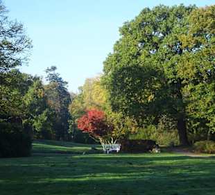 Herbstspaziergang durch den Schlosspark Lütetsburg