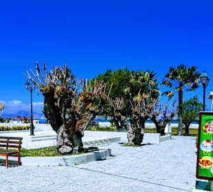 Strand Tigaki