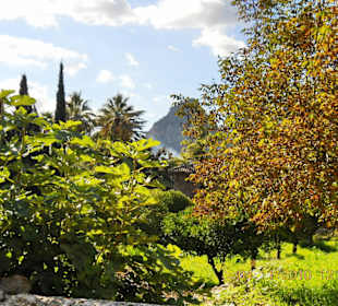 Verwunschene Gärten