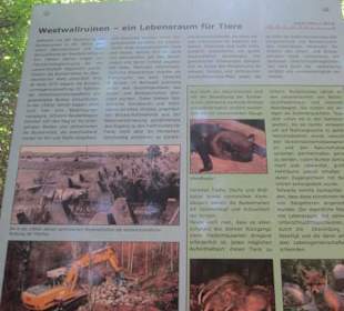 Westwallweg Oberotterbach