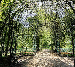 Laubengang im Bürgerpark