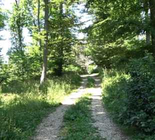 Burg Hölnstein Stetten u. Holstein