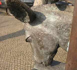 "I" - "A" - der Esel kann lesen