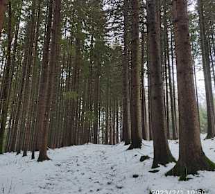 Wandern Rimbach