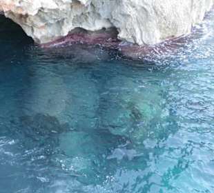 Klares Wasser/ Höhle
