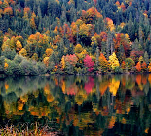 Malerischer Herbst am See