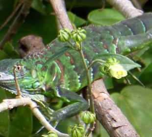 Relax Day Tour mit Federico. Eine kleine Auswahl