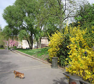 Straßburg im Frühling