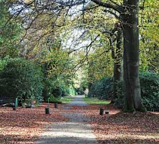Rundgang über den Ohlsdorfer Friedhof