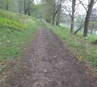 Kirschenweg