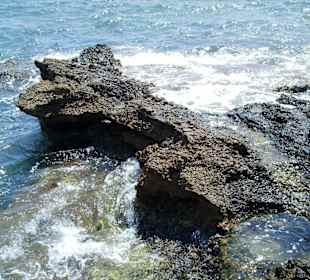 Strandabschnitt des Marinelands